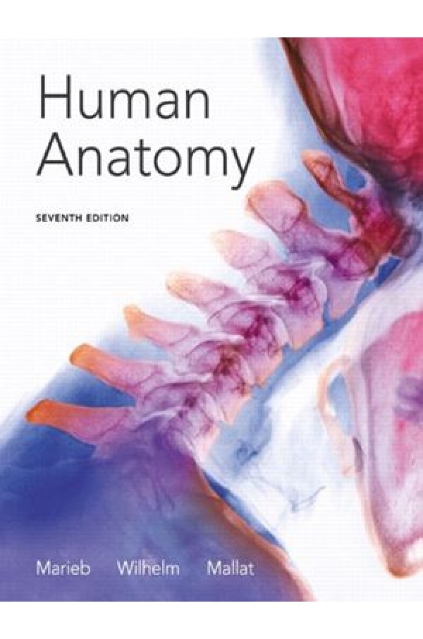 Human Anatomy Marieb 7th Edition Pdf Download